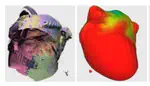 Closing Gaps by Clustering Unseen Directions