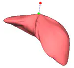 New techniques for computer-based simulation in surgical training