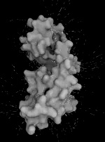 Intuitive representation of surface properties of biomolecules using BioBlender