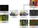 Automatic saturation correction for dynamic range management algorithms