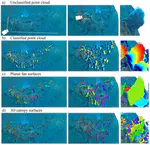 SfM-Based Method to Assess Gorgonian Forests (Paramuricea clavata (Cnidaria, Octocorallia))