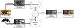 HMD-TMO: A Tone Mapping Operator for 360 HDR Images Visualization for Head Mounted Displays